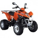 MAXXER 300
