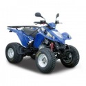MAXXER 250