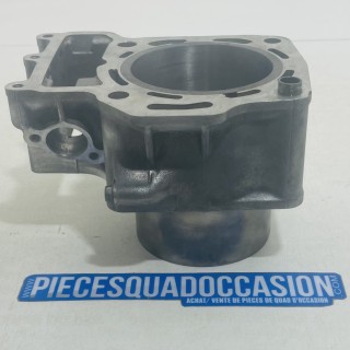 cylindre + piston quad 700 kfx kawasaki (arrière)
