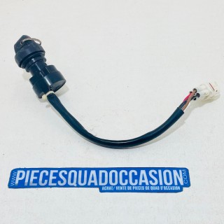 neman quad 350 bruin yamaha