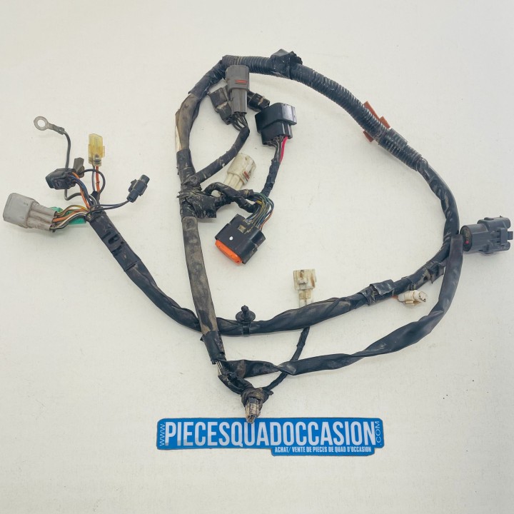FAISCEAU ELECTRIQUE QUAD 400 LTZ/KFX/DVX (2005/...)
