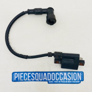bobine + antiparasite quad 250 raptor yamaha