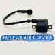 bobine + antiparasite quad 250 raptor yamaha