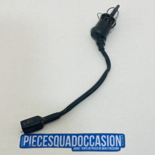 neman quad 220 phoënix polaris