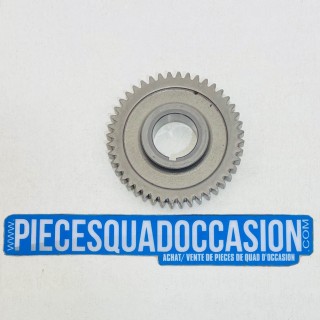 pignon de vilebrequin quad 200 sawtooth et phoenix polaris