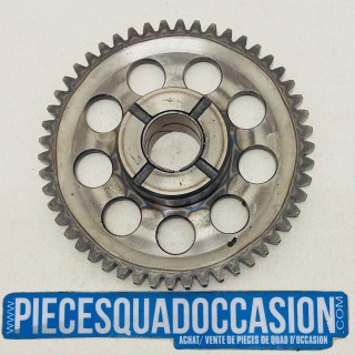 pignon de roue libre de démareur quad 700 raptor yamaha