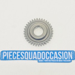 PIGNON DE VILLEBREQUIN QUAD 400 LTZ/KFX/DVX