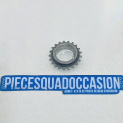 carter de culasse quad 330 trail boss polaris