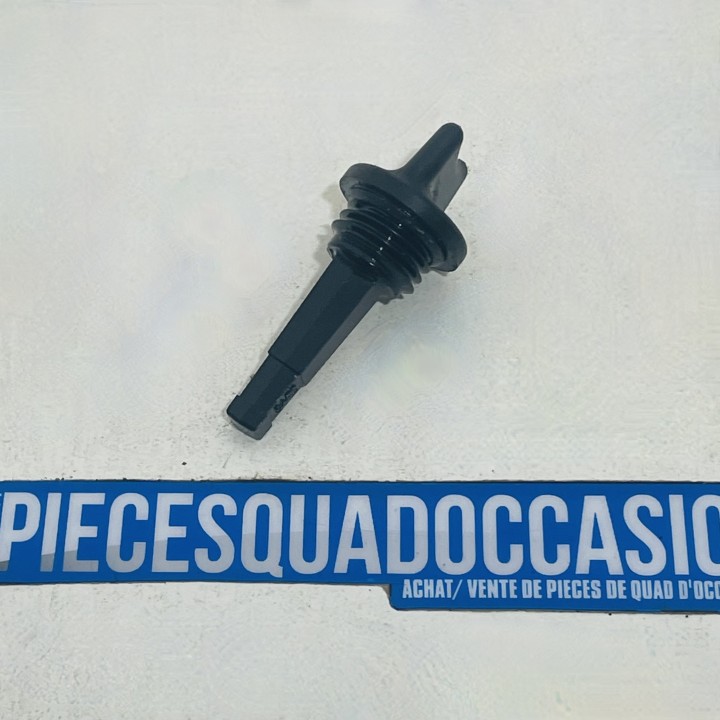 jauge moteur quad 330 trail boss polaris