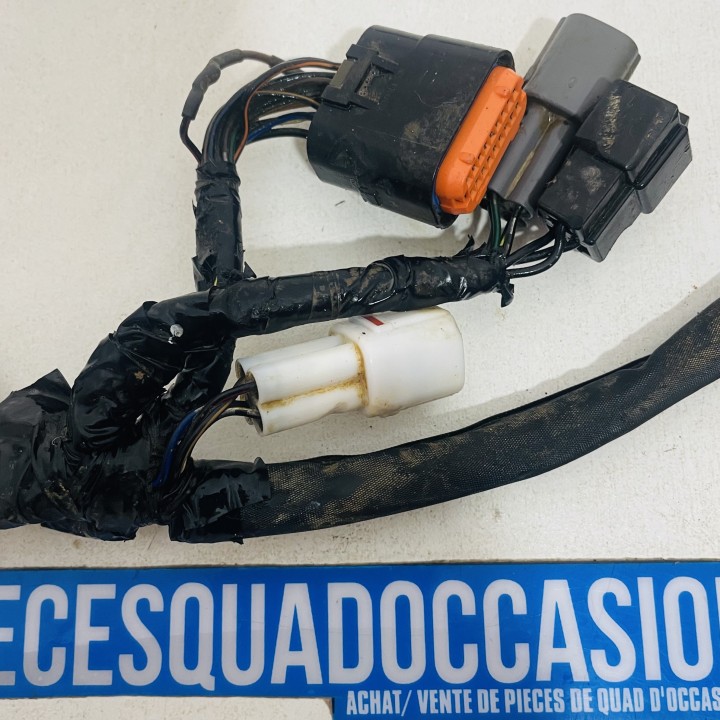 FAISCEAU ELECTRIQUE QUAD 400 LTZ/KFX/DVX (2005/...)