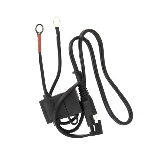 Câble oeillet pour Chargeur de Batterie ACCUB02 ACCUB03 et ACCUBAT3