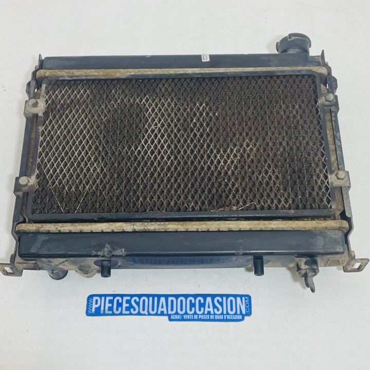 RADIATEUR QUAD MASAI A450 OU DINLI 450