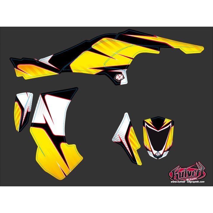 Kit Déco Quad Factory Can Am DS 450 (2008-2015)