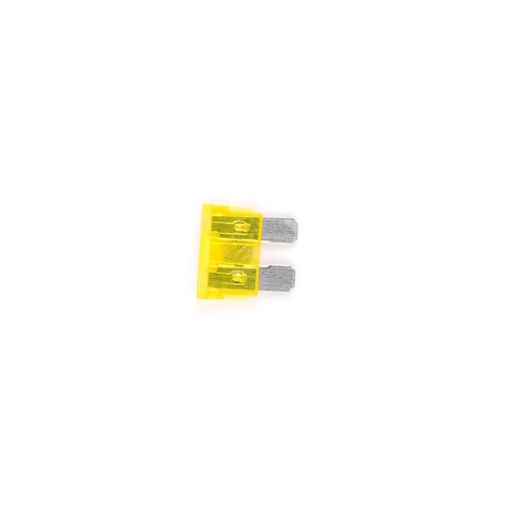 Fusible Standard 20A (x10)