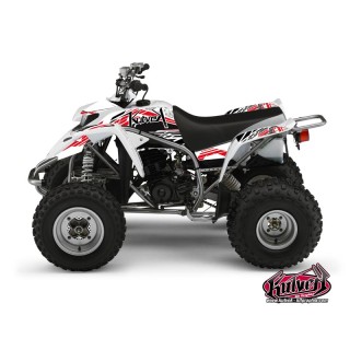 Kit Déco Quad Spirit Yamaha Blaster Rouge (2003-2007)