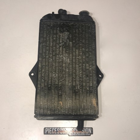 radiateur quad 350 banshee