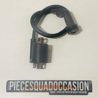 BOBINE + ANTIPARASITE 350 RAPTOR YAMAHA