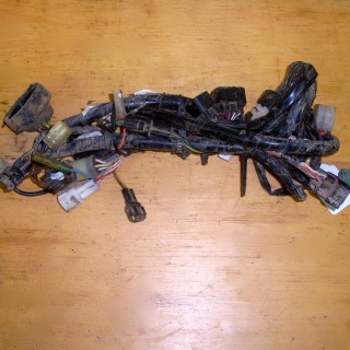 FAISCEAU ELECTRIQUE QUAD 350 RAPTOR YAMAHA