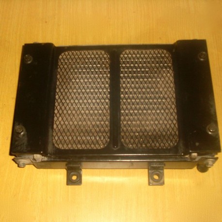 RADIATEUR QUAD MASAI A450 OU DINLI 450