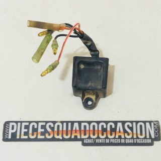 cdi quad 200 blaster yamaha (5 fils)