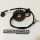 STATOR QUAD 300 BAJA TRITON