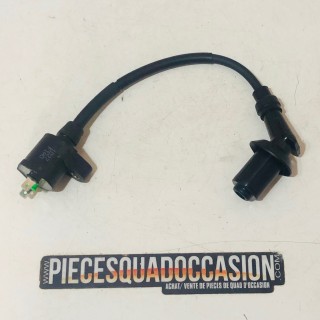 bobine + antiparasite quad 150 challenger/viper  e-ton