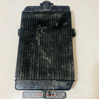 radiateur quad 660 raptor yamaha (noir)