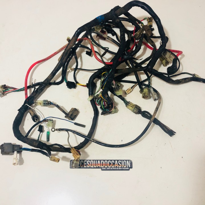 faisceau electrique quad 400 avenger tgb