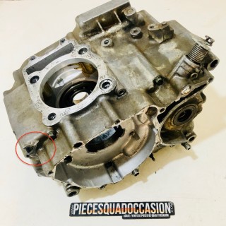 carter moteur quad 250 raptor yamaha (hs2)