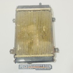 radiateur quad 250 quadlander sym
