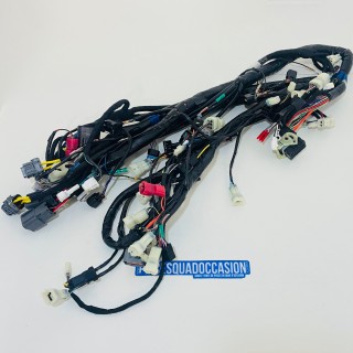 faisceau électrique quad blade1000 lt tgb