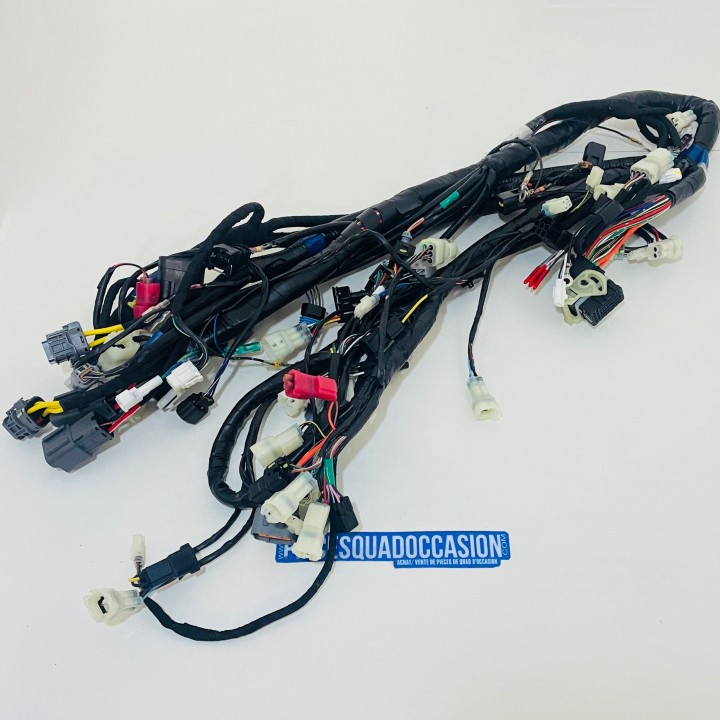faisceau électrique quad blade1000 lt tgb