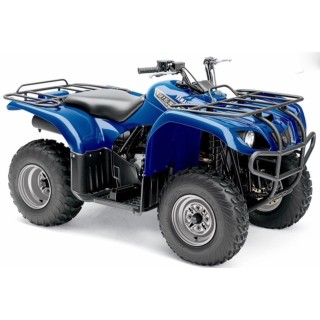 250 big bear