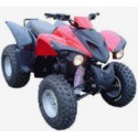 300 ATV