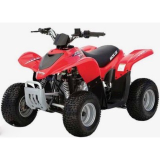 50 DVX