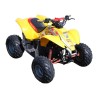 50 SCRAMBLER
