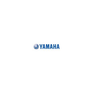 YAMAHA UTILITAIRE