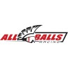 ALL BALLS RACING